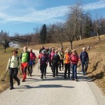 Poročilo: Murovica – Cicelj