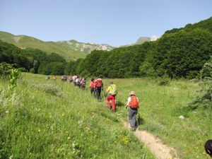 IMG_6173 Dolga bo še pot (Korab)