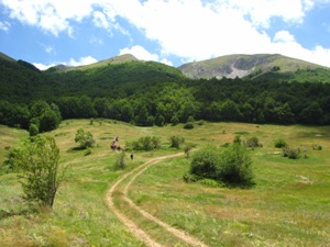 IMG_6849 Na Magaro (Galičica)