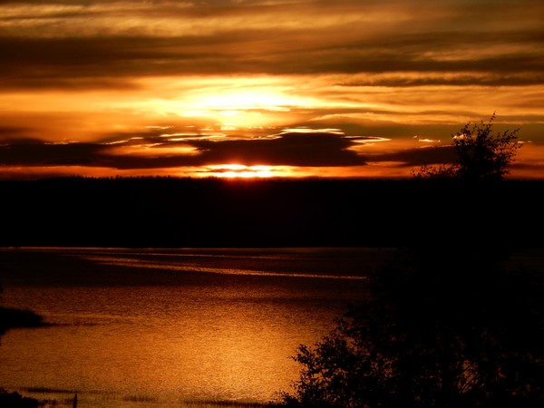 Image00005