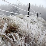 Vabilo: Druga tekma ZOP