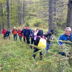 Vabilo: 16. tradicionalni pohod na Goli vrh – 1.426 m