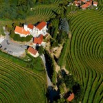 Vabilo: Prleške gorice – Jeruzalem (338 m)