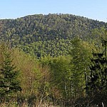 26. tradicionalni zimski pohod na Ramšakov vrh (970 m)