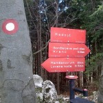 Vabilo: 27. tradicionalni zimski pohod na Ramšakov vrh (970 m)