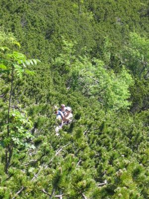 Kliknite za ogled večje slike