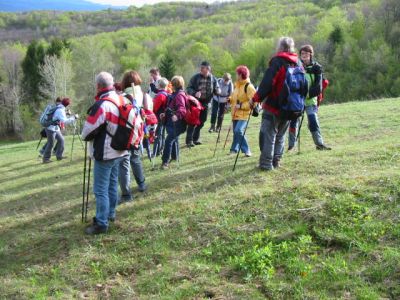 Kliknite za ogled večje slike