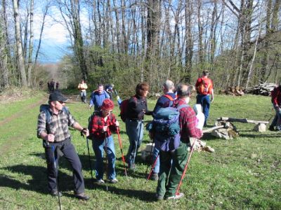 Kliknite za ogled večje slike