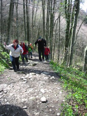 Kliknite za ogled večje slike