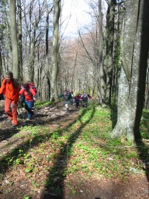 Kliknite za ogled večje slike