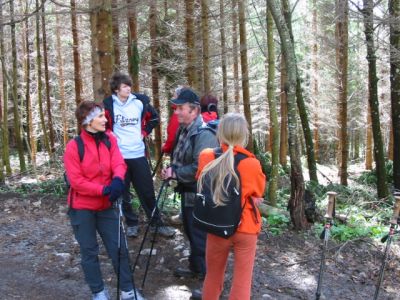 Kliknite za ogled večje slike