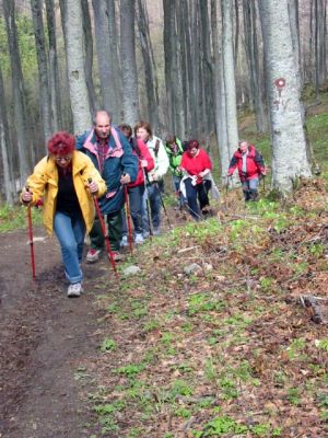 Kliknite za ogled večje slike