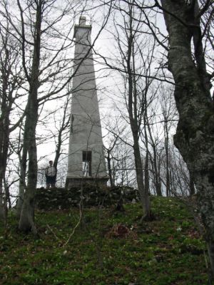 Kliknite za ogled večje slike