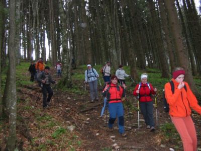 Kliknite za ogled večje slike