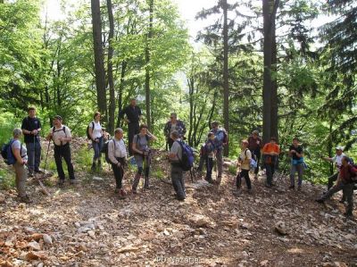 Kliknite za ogled večje slike