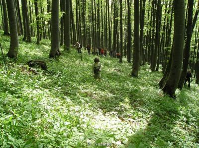 Kliknite za ogled večje slike