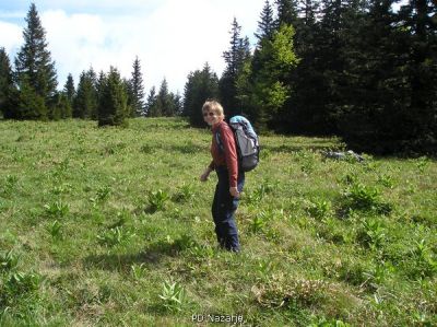 Kliknite za ogled večje slike