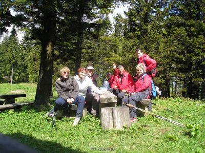 Kliknite za ogled večje slike