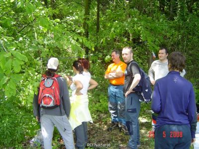 Kliknite za ogled večje slike