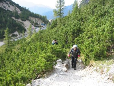 Kliknite za ogled večje slike