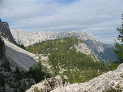 Kliknite za ogled večje slike