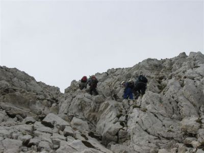 Kliknite za ogled večje slike