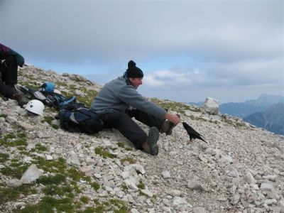 Kliknite za ogled večje slike