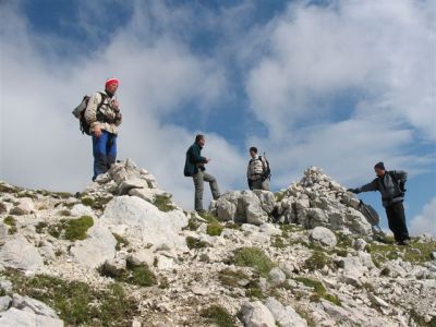 Kliknite za ogled večje slike