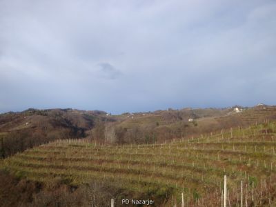 Kliknite za ogled večje slike