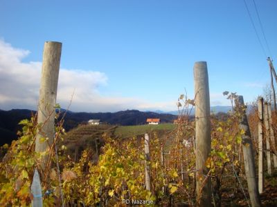 Kliknite za ogled večje slike