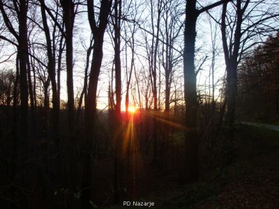 Kliknite za ogled večje slike