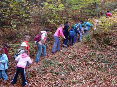 Kliknite za ogled večje slike