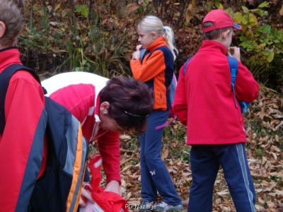 Kliknite za ogled večje slike