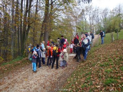 Kliknite za ogled večje slike