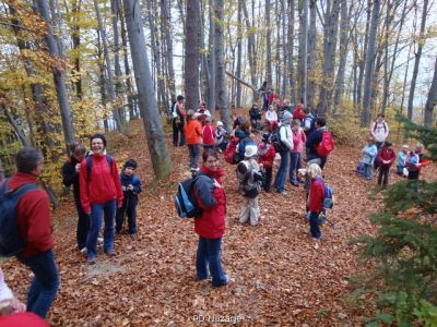 Kliknite za ogled večje slike