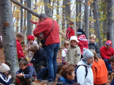 Kliknite za ogled večje slike