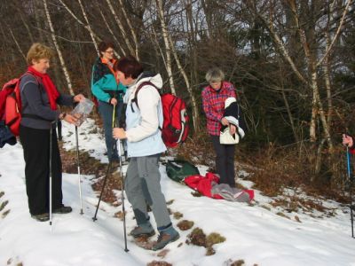 Kliknite za ogled večje slike