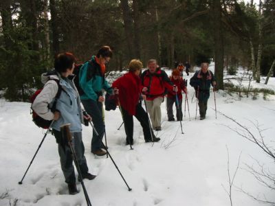 Kliknite za ogled večje slike