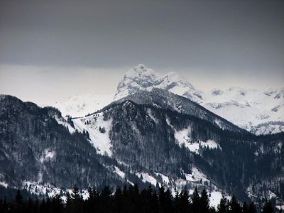 Kliknite za ogled večje slike