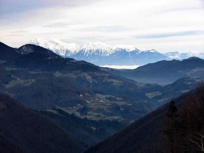 Kliknite za ogled večje slike