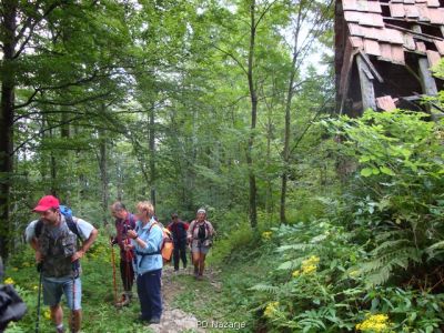 Kliknite za ogled večje slike