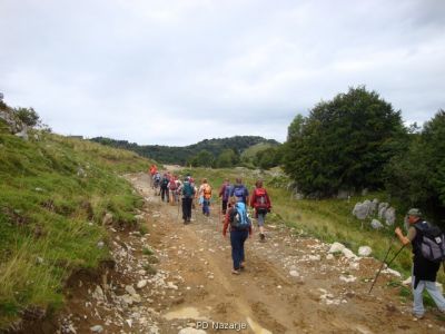 Kliknite za ogled večje slike