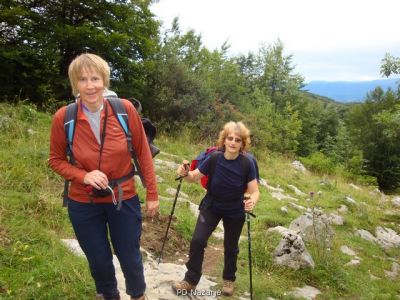 Kliknite za ogled večje slike