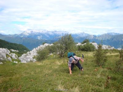 Kliknite za ogled večje slike