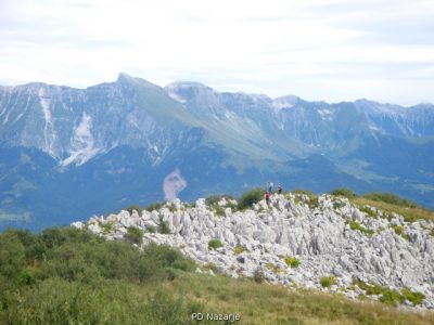 Kliknite za ogled večje slike