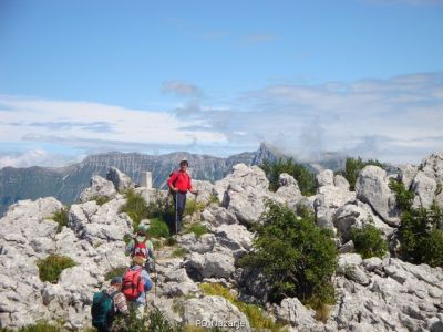 Kliknite za ogled večje slike