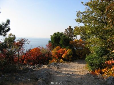 Kliknite za ogled večje slike