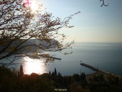 Kliknite za ogled večje slike