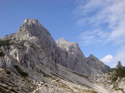 Kliknite za ogled večje slike