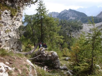 Kliknite za ogled večje slike
